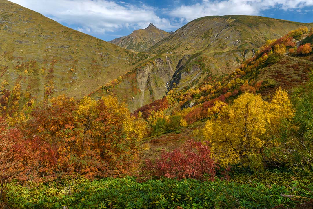 Красная Поляна, горы